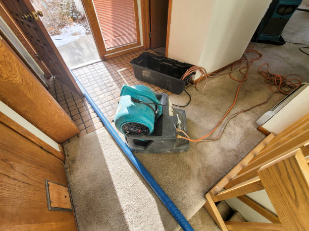 Best Carpet water damage restoration  in Aberdeen, MS