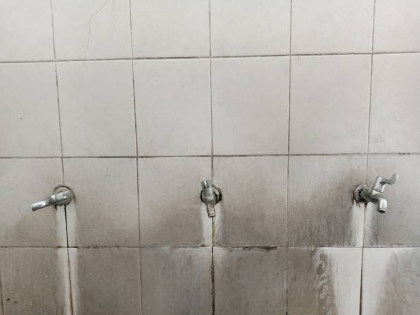 Best Sewage cleanup and water damage restoration  in Aberdeen, MS